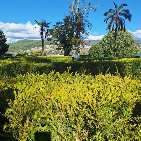 Minso - Grupos O Familias * Redondela