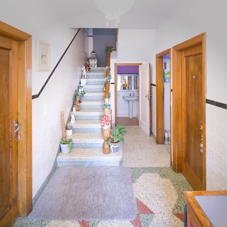 Minso - Grupos O Familias *